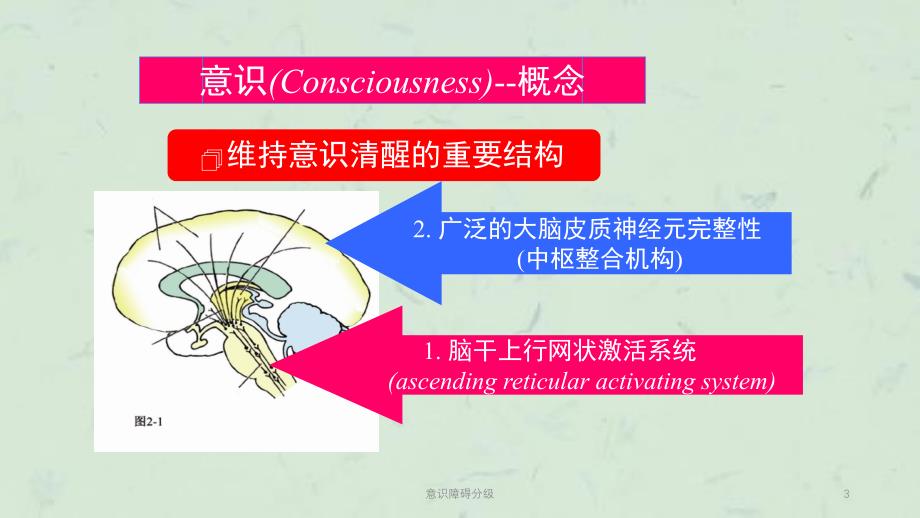 意识障碍分级课件_第3页