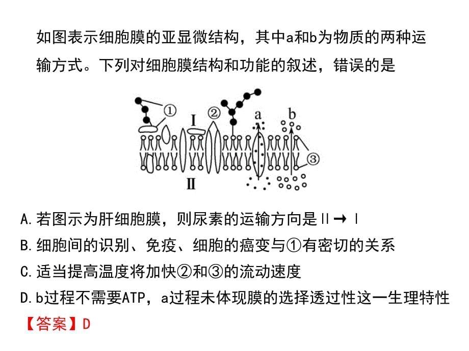 物质跨膜运输的方式_第5页