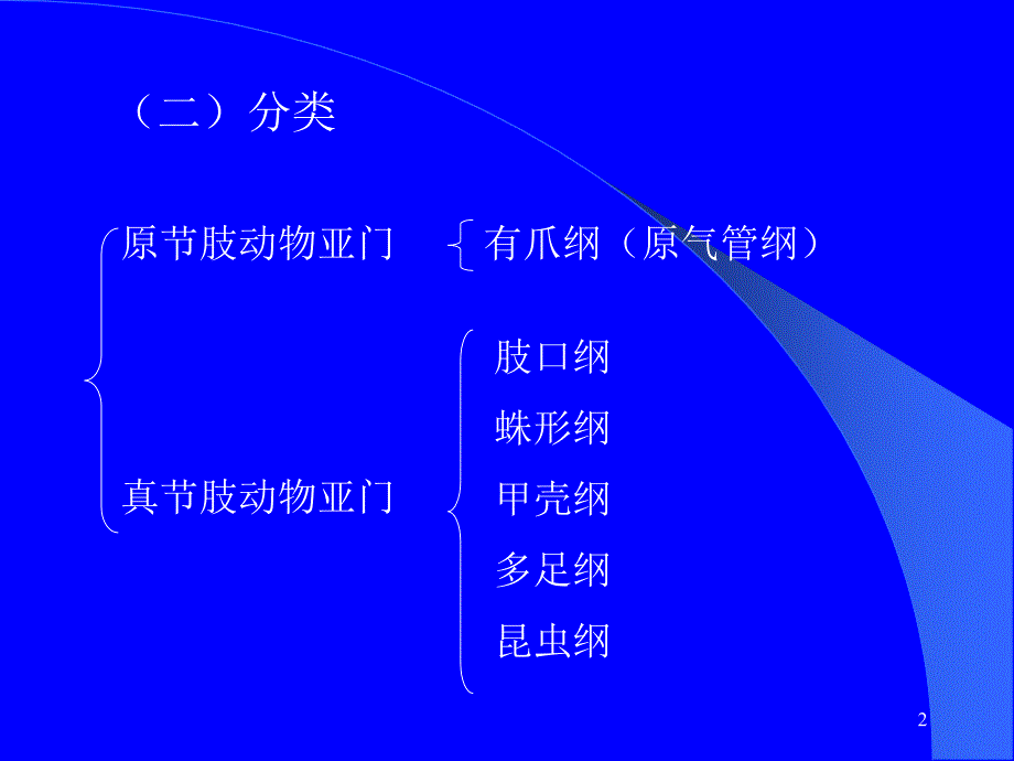 修改节肢动物_第2页