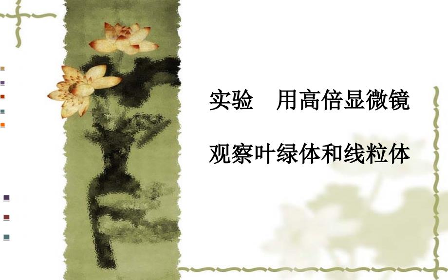 用高倍显微镜观察叶绿体和线粒体_第1页