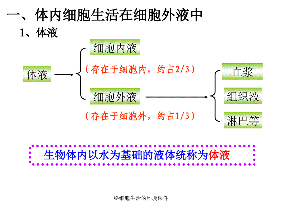 终细胞生活的环境课件_第4页