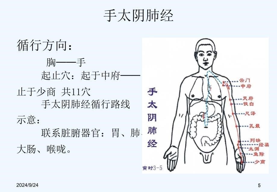 中医经络之手太阴肺经_第5页