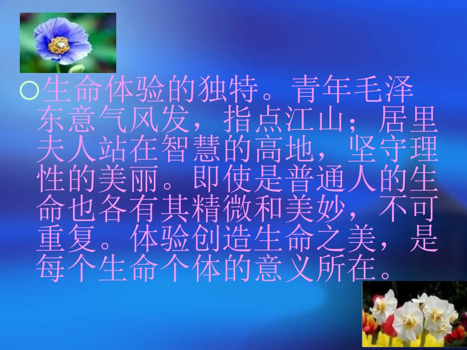 生如夏花之绚烂_第2页