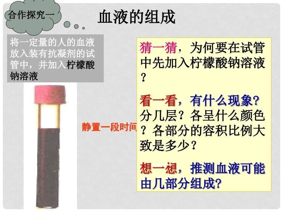 四川省泸州市泸县二中外国语实验学校七年级生物下册 4.4.1 流动的组织—血液课件 （新版）新人教版_第5页