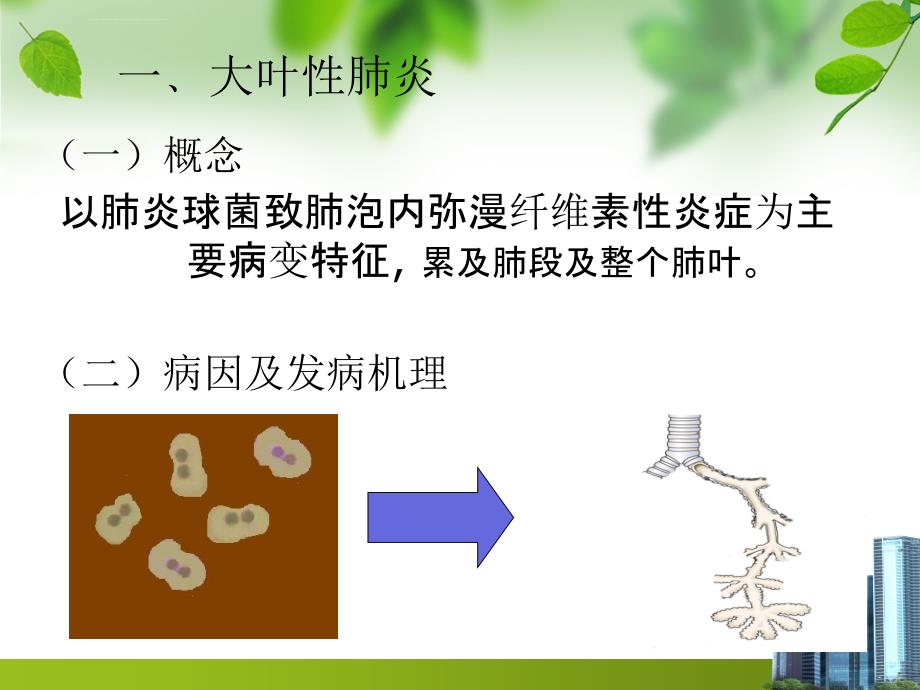 大叶性肺炎ppt课件_第4页