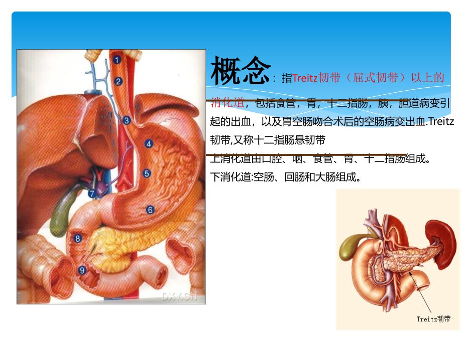 上消化道出血护理查房图文_第3页