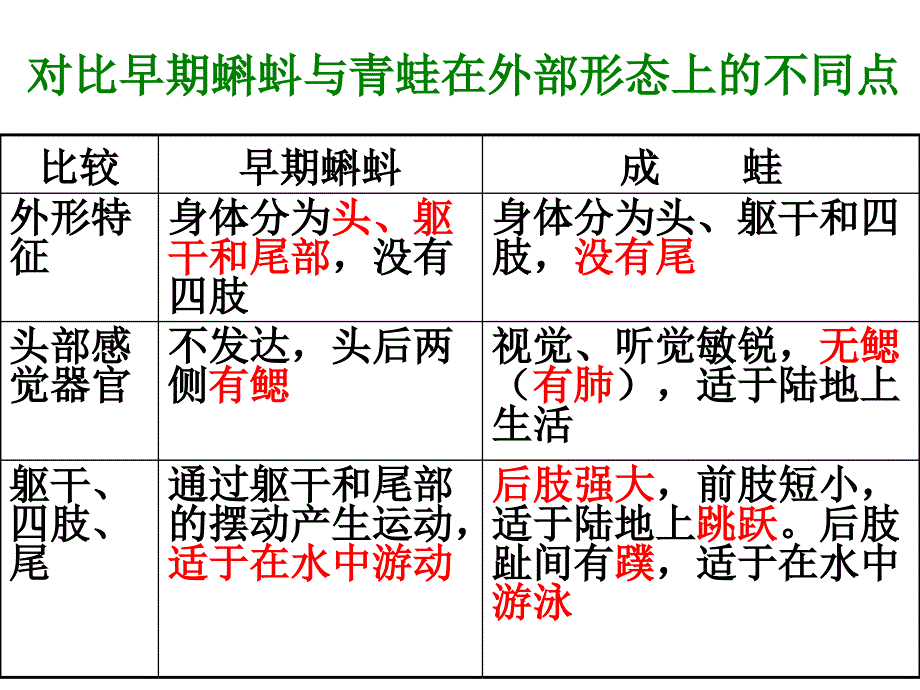 第三节两栖动物的生殖和发育课件_第4页