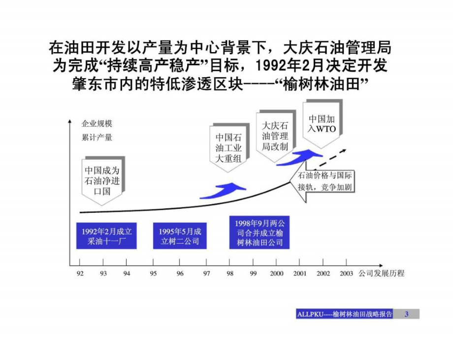 榆树林油田开发有限责任公司战略发展咨询报告_第3页