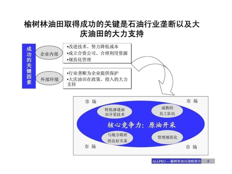 榆树林油田开发有限责任公司战略发展咨询报告_第5页