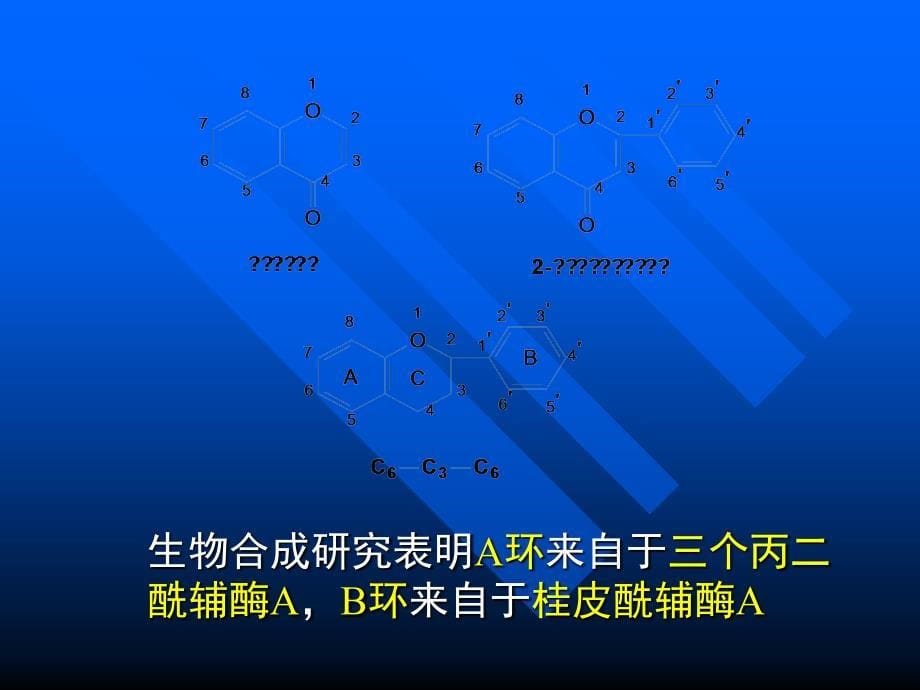 第五章黄酮类化合物课件_第5页