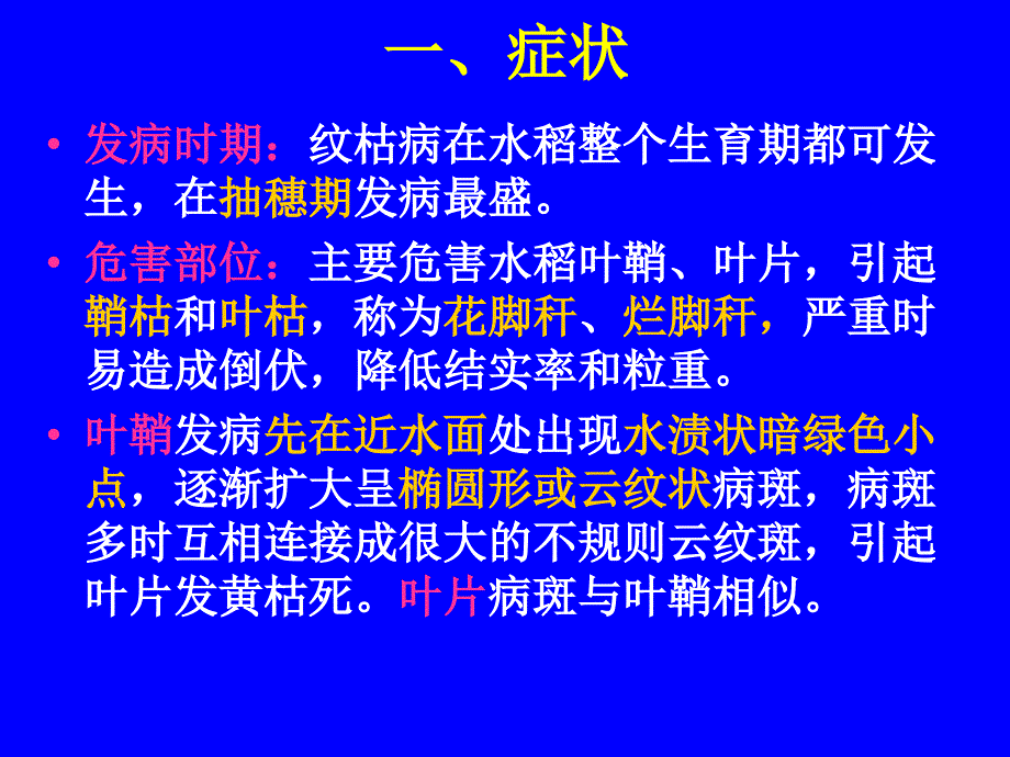 水稻病害纹枯病PPT课件_第3页