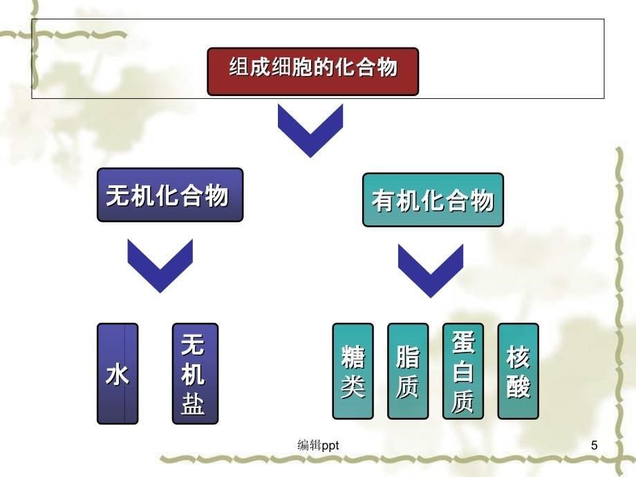 对对错错细胞中的无机物_第5页