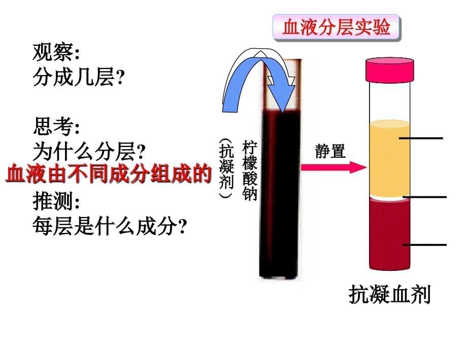 流动的组织——血液人教版七年级下课件_第5页