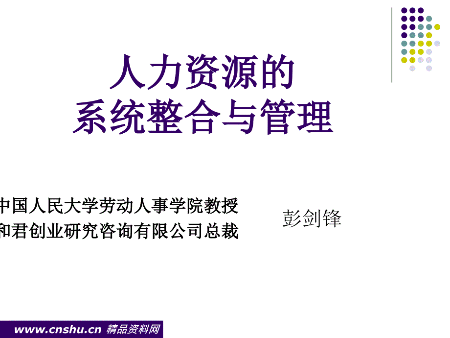 人力资源系统咨询整合与管理_第1页