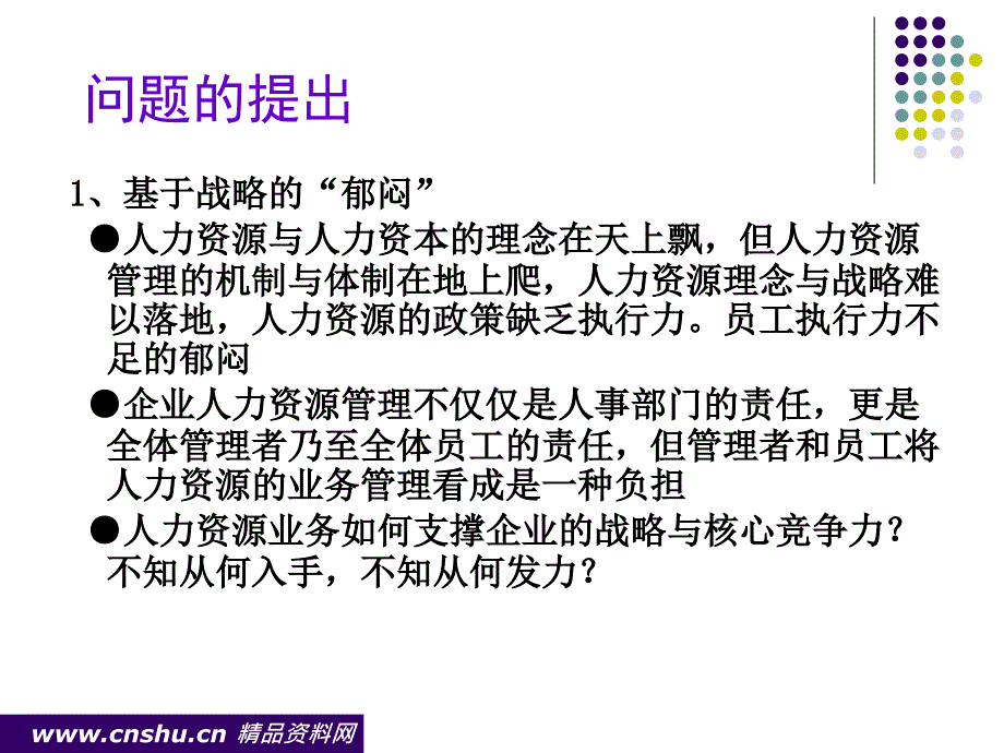 人力资源系统咨询整合与管理_第2页